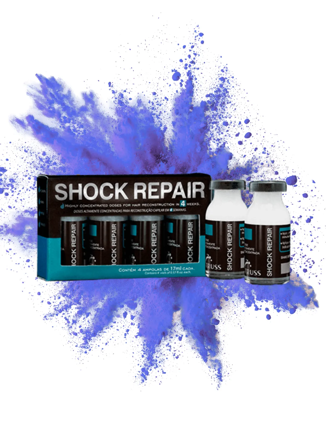 SHOCK REPAIR TRUSS